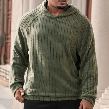 Men's Plus Size Solid Chic Color Raglan Sleeve Ribbed Hoodie, Spring/autumn