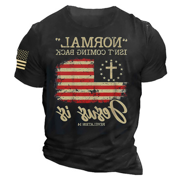 Normal Isn't Coming Back Chic But Jesus Is Revelation 14 Costume Men's T-shirt