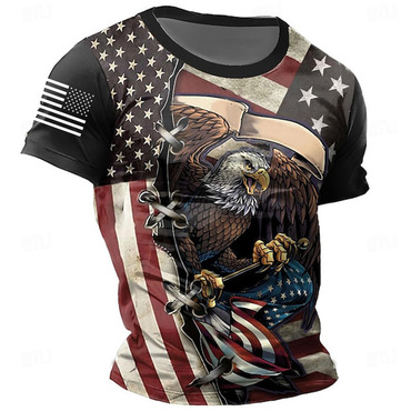 Men's Eagle American Flag Chic Daily Vintage Crew Neck Short Sleeve T-shirt