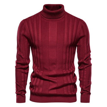 Men's Casual Solid Color Chic Turtleneck Pullover Sweater