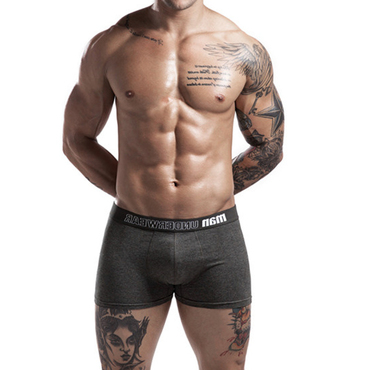 Men's Casual Cotton Boxer Chic Briefs