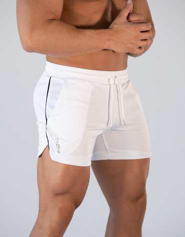 Men's Quick Dry Sports Chic Mesh Shorts