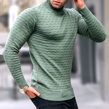 Casual Solid Color Tight Chic Turtleneck Sweater