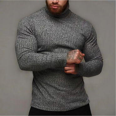 Men's Slim Fit Athleisure Chic Crew Neck Long Sleeve T-shirt